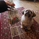 Rosie's Barn Penrith