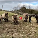 Rosie's Barn * Penrith