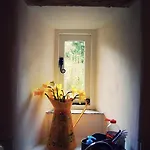 Rosie's Barn