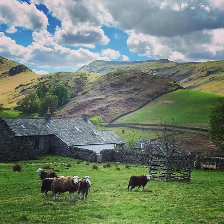 Rosie's Barn