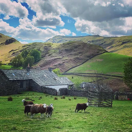 Rosie's Barn