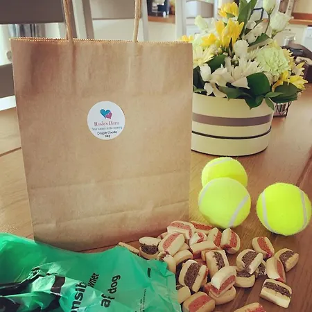 Lodge Rosie's Barn *