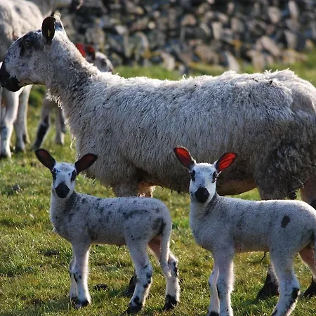 Rosie's Barn Penrith