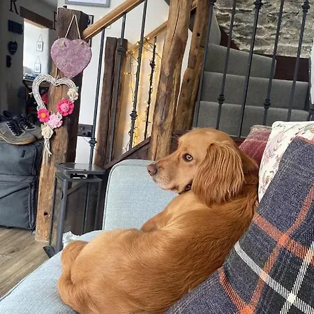 Rosie's Barn ペンリス