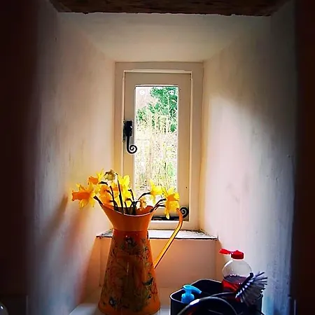 Rosie's Barn *