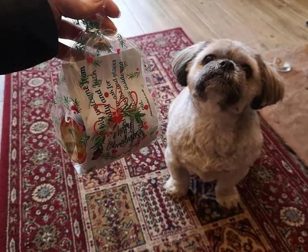 Rosie's Barn Penrith