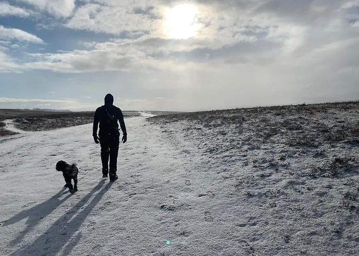 Lodge Rosie's Barn *