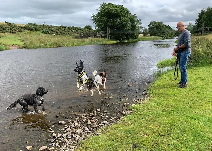 Rosie's Barn Lodge *