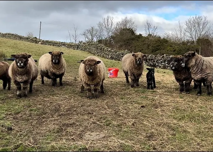 Rosie's Barn * Penrith