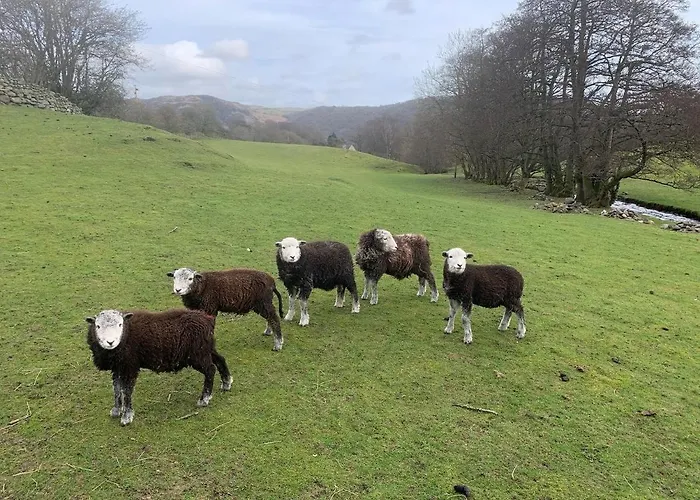 Lodge Rosie's Barn *