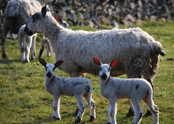 Rosie's Barn Penrith