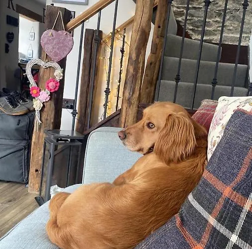 Rosie's Barn Penrith